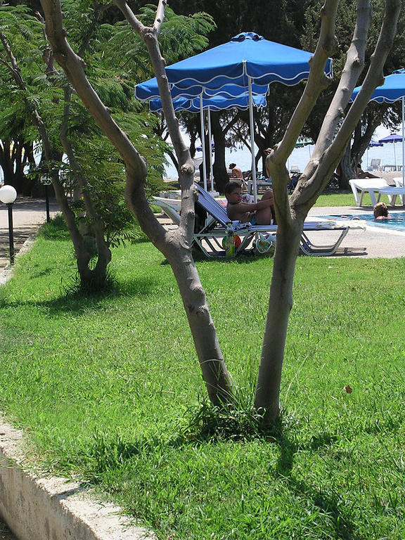 Stafilia Beach Hotel Lardos Pokój zdjęcie